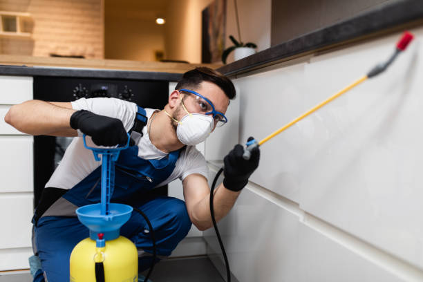 Best Wasp Removal Services  in South Brooksville, FL