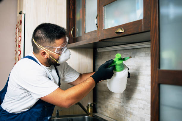 Pest Prevention Services in South Brooksville, FL