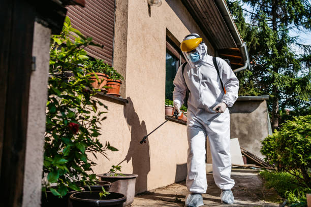Best Affordable Pest Control Services  in South Brooksville, FL