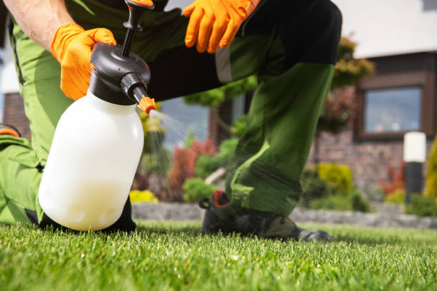 Best Best Pest Control Companies  in South Brooksville, FL