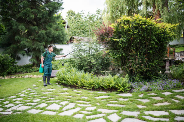 Wasp Removal Services in South Brooksville, FL