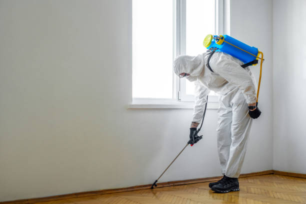  South Brooksville, FL Pest Control Pros