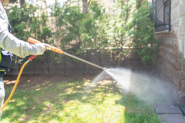Best Wasp Removal Services  in South Brooksville, FL
