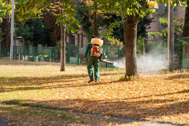 Best Emergency Pest Control  in South Brooksville, FL