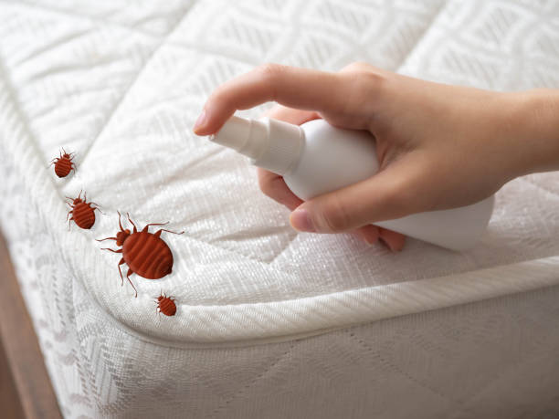 Best Best Pest Control Companies  in South Brooksville, FL
