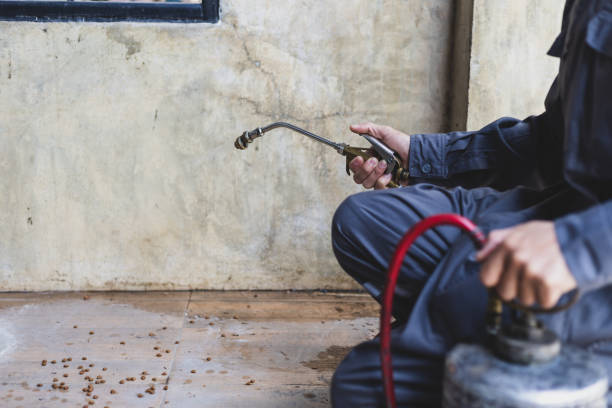 Best Pest Control for Homes  in South Brooksville, FL